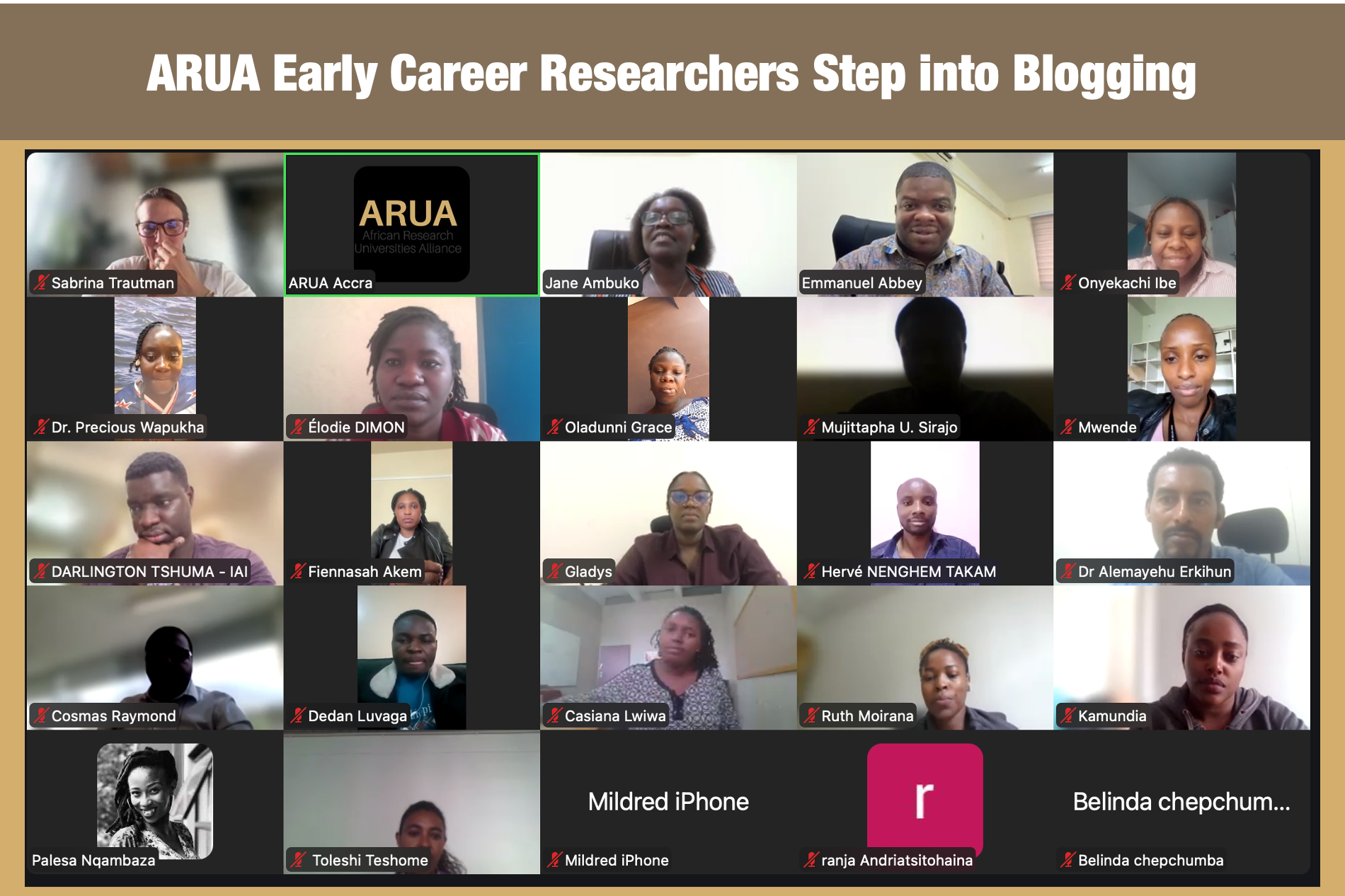 Turning Research Evidence into Impact Stories: ARUA Early Career Researchers Step into Blogging